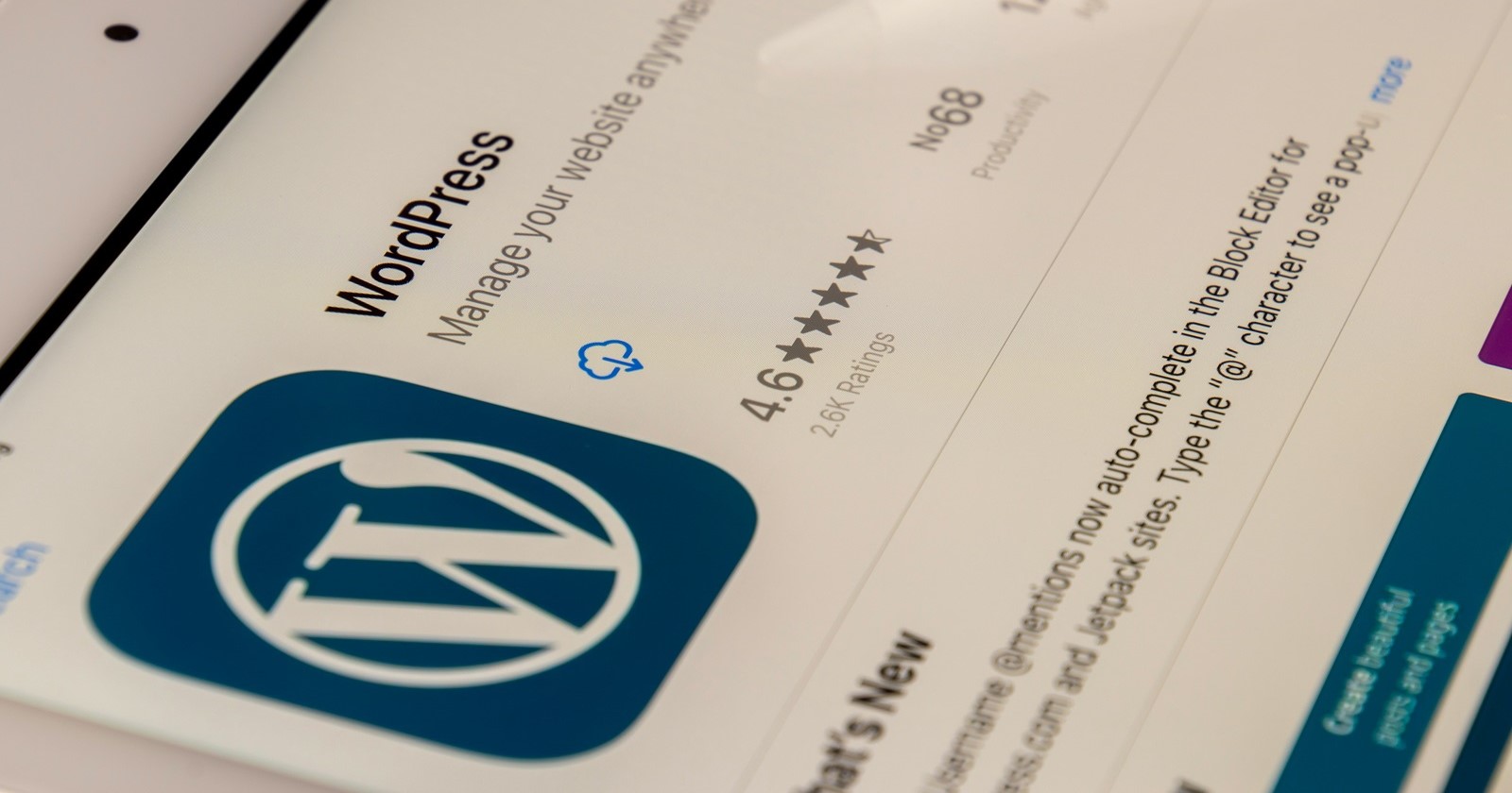 WordPress CEO Matt Mullenweg deletes controversial post attacking Ruby on Rails founder, but we have it