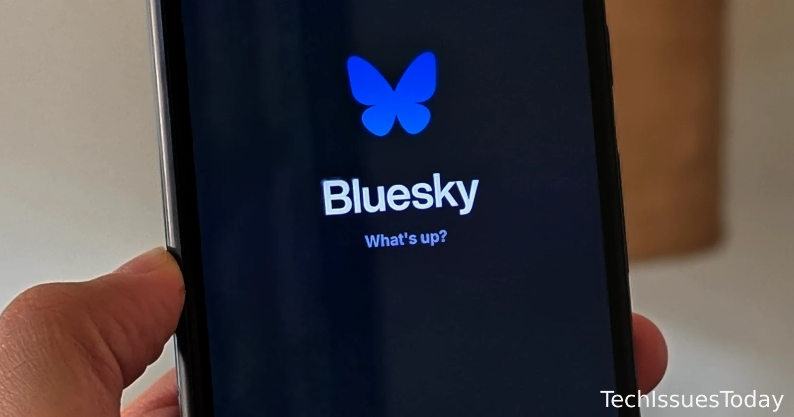 From 0.5 to 2.5 users per second: Bluesky thrives in X outage fallout