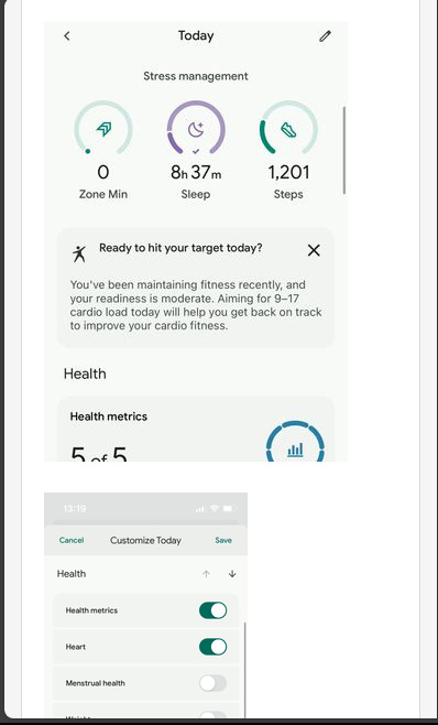 Cardio-Load-in-Fitbit-app