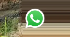 Some WhatsApp users with Samsung phones report shared videos getting glitched