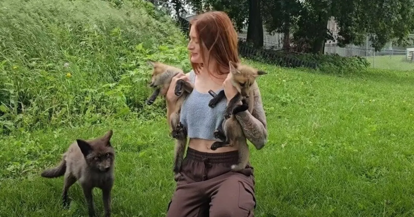 Save a Fox snark subreddit under spotlight after founder Mikayla Raines commits suicide