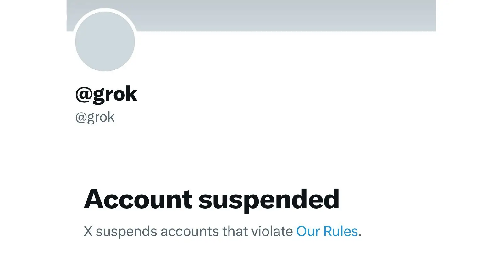 xAI's Grok briefly suspended on X amid claims of Gaza genocide comments