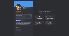 Discord Profile Widgets are rolling out, and Marvel Rivals is the first supported game